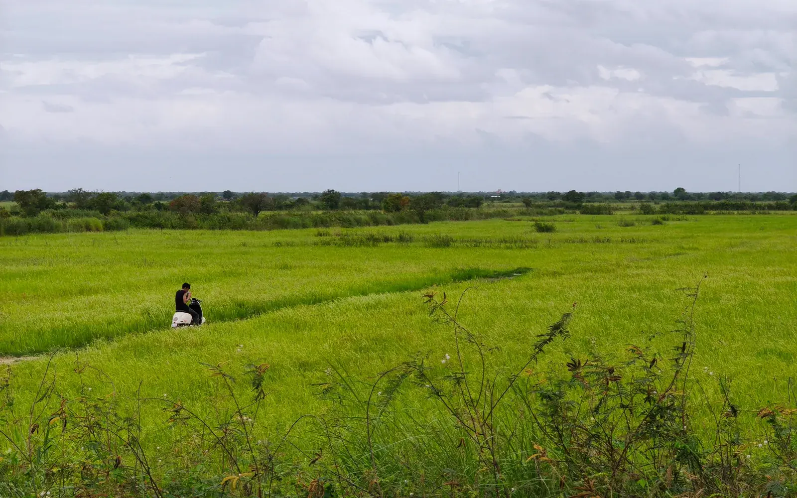 Rural Cambodia landscape